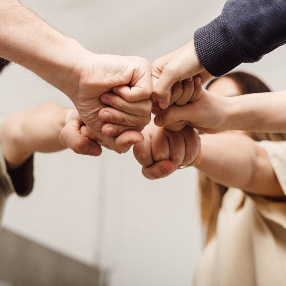 SOCIAL_ORGANIZATION